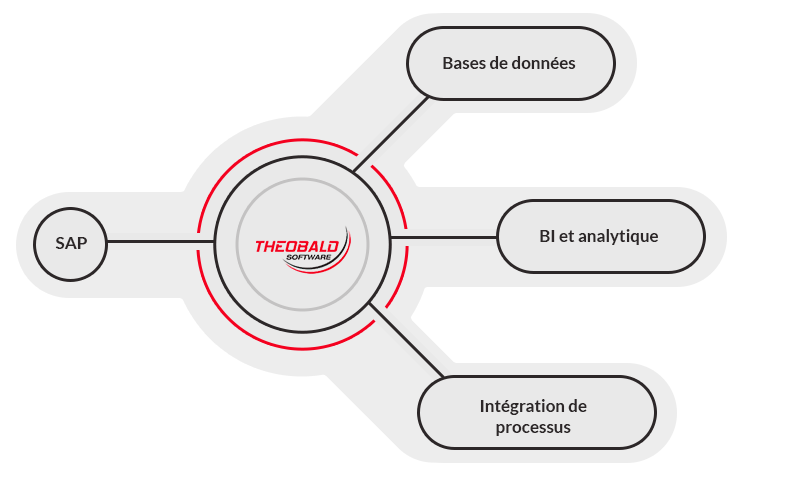 Utilisation de données SAP via des interfaces SAP Softwareentwicklung