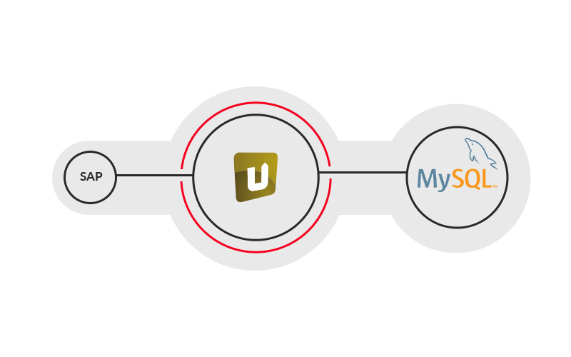MySQL SAP und MySQL nahtlos verbinden